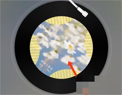 网易云音乐APP怎么复制歌词？网易云音乐APP复制歌词操作步骤