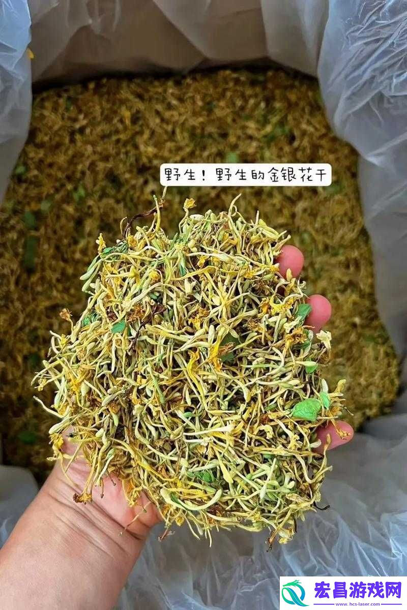 父爱难消金银花：父爱的深沉与金银花的故事