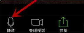 Zoom视频会议怎么关闭我的麦克风 Zoom视频会议关闭我的麦克风的方法
