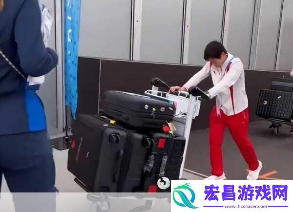 我才是巧手搬运工