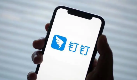 钉钉怎么设置个人钉钉号 钉钉设置个人钉钉号方法分享