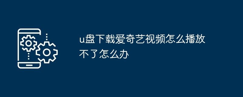 u盘下载爱奇艺视频怎么播放不了怎么办