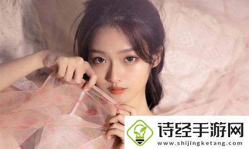 日本免费SaaS-CRM：在坚持与创新的力量中-体验数字化客户关系管理的细节与成长