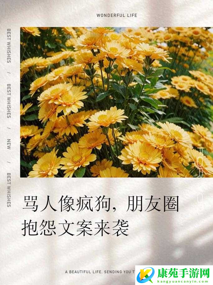 疯狗成群-NPC：危险来袭