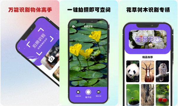 万物识图安卓版：可以一键识别万物的视图软件，准确高效！