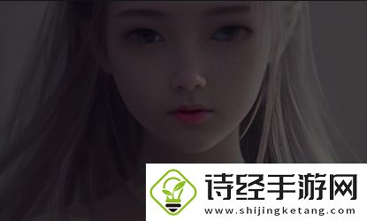 成品站1.1.719版本具备哪些创新功能与优化-如何提高站建设效率