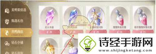 无限暖暖共鸣商店有什么用