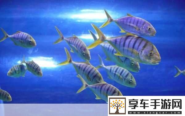 锕铜铜铜铜