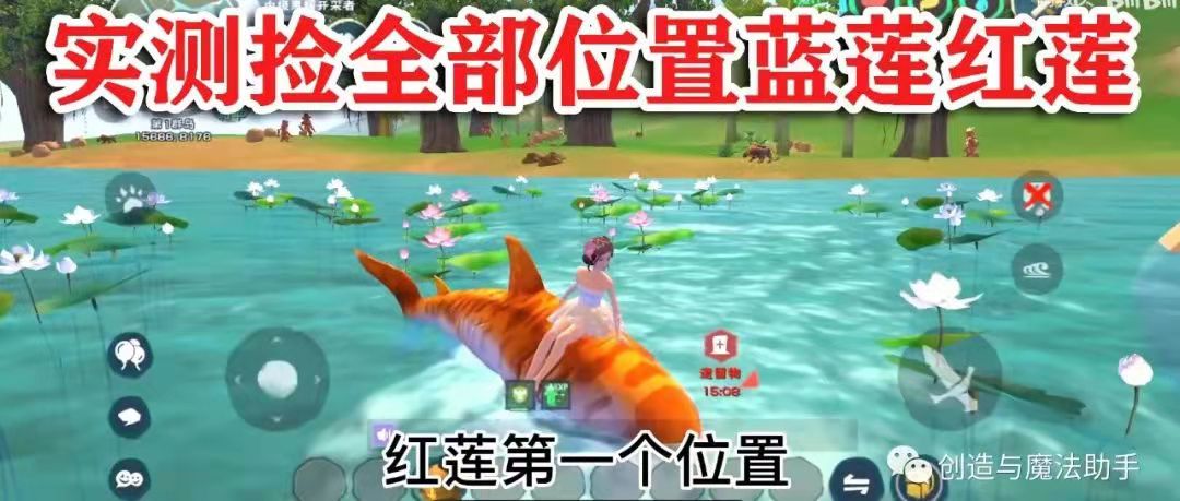创造与魔法红莲位置图