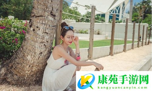 韩国理论大全：深度解析文化根基与现代社会变革的智慧之书!