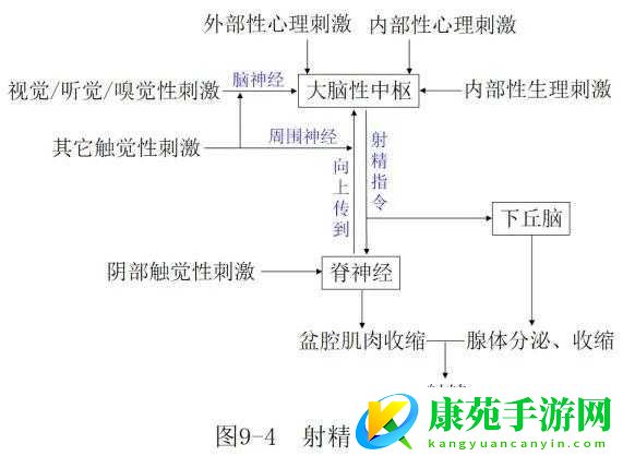 JAVAPARSERHD-高潮相关内容探讨