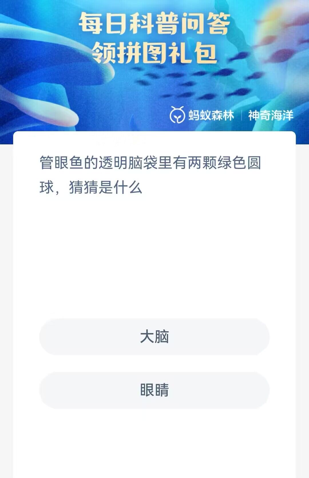 神奇海洋1.23今日问答答案是什么