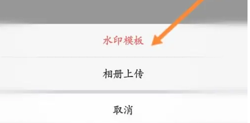 微脉水印相机怎么设置水印模板 设置水印模板操作方法