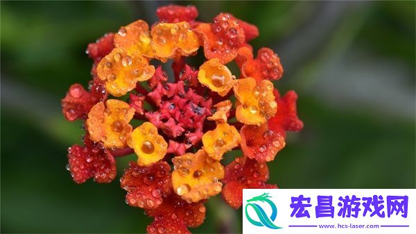 小烧货几天没弄了这么多水了方法：如何应对和预防水分问题