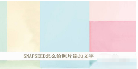 Snapseed如何给照片加文字