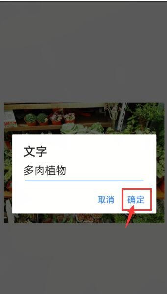 Snapseed如何给照片加文字