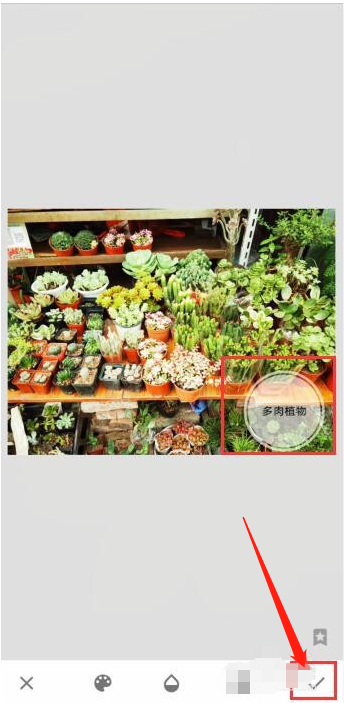 Snapseed如何给照片加文字