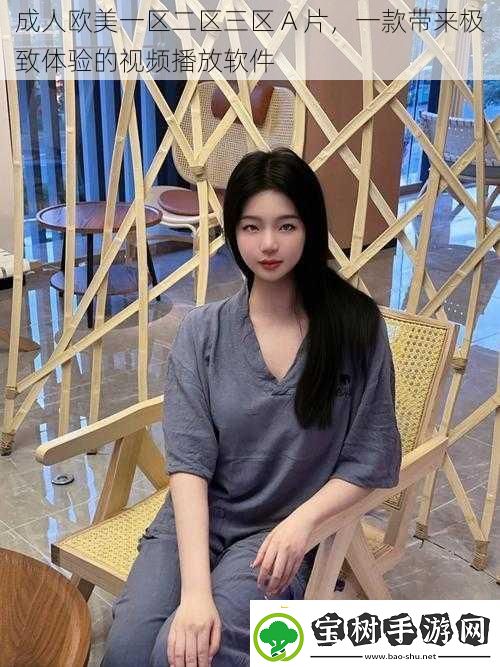 成人欧美一区二区三区-A-片-一款带来极致体验的视频播放软件
