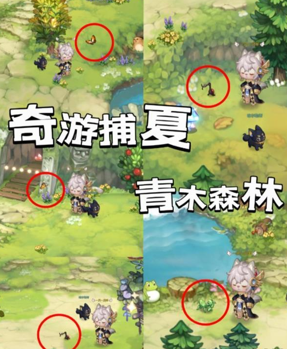 奥比岛手游奇游捕夏在哪？奥比岛手游奇游捕夏位置