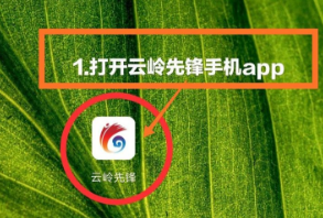 云岭先锋app怎么积分  云岭先锋app积分管理使用方法