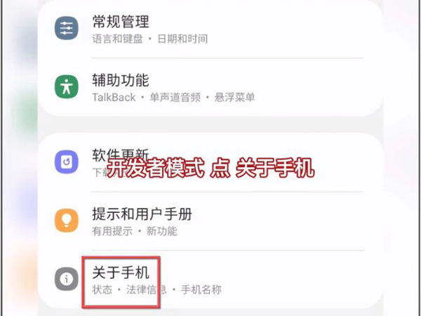 三星s21开发者（三星开发者选项都需要开启什么）