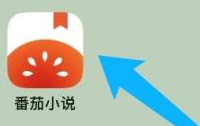 番茄小说如何设置性别