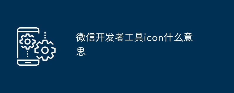 微信开发者工具icon怎么用（微信开发者工具页面颜色）