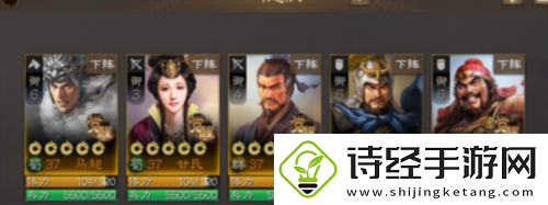 三国志战棋版新手阵容怎么搭配