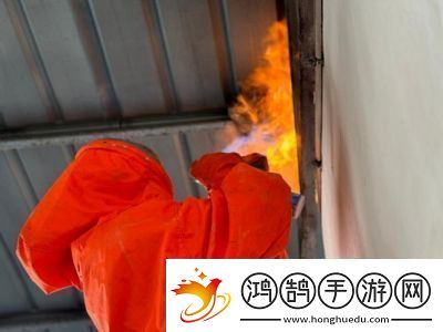 泰拉瑞亚中如何获得小马蜂宠物及小马蜂宠物详解