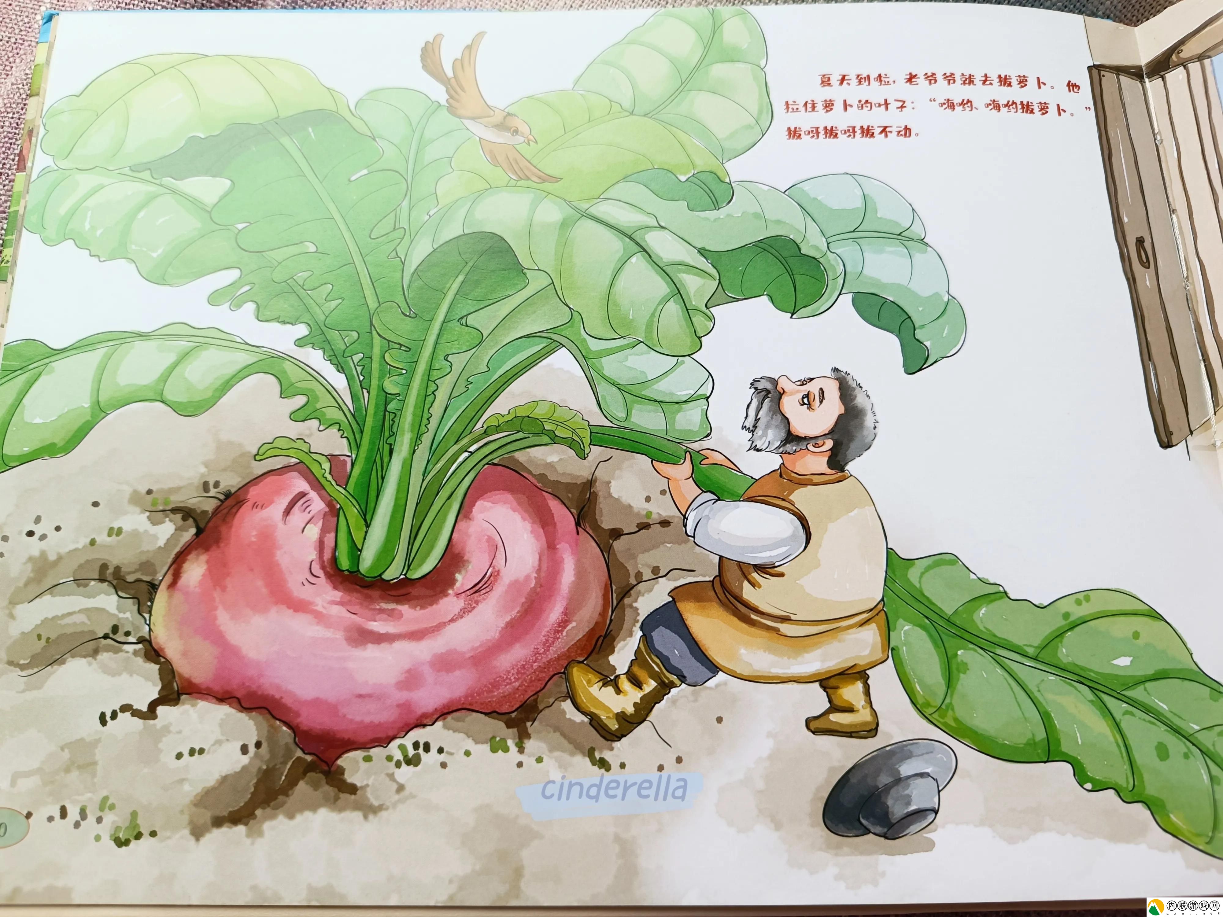探索拔萝卜视频软件：让您的创作灵感瞬间点燃！