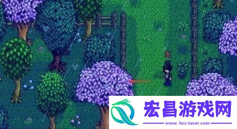 星露谷物语隐藏雕像在哪
