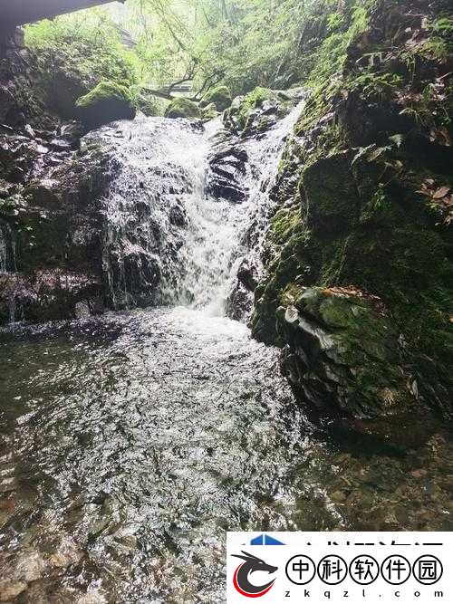 战队组建合作艺术：桃花洞口已是溪水潺潺深受广大友好评回应引发的思考与探讨