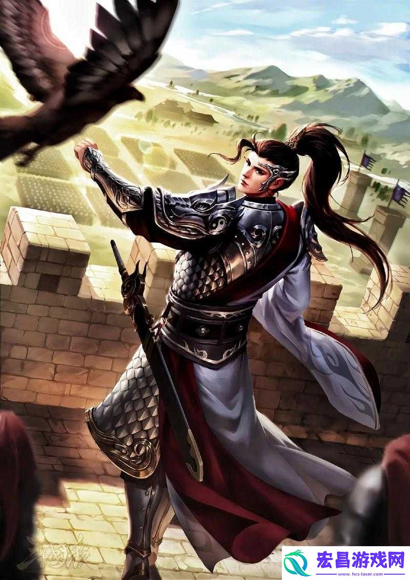 无双大蛇3深度解析-武将姜维图鉴及其详尽背景资料一览