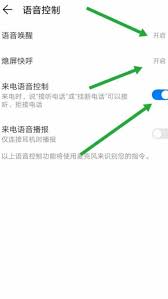 怎样设置yoyo呼叫