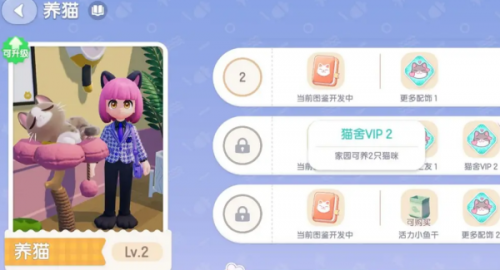 心动小镇猫咪领养两只方法