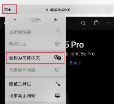 Safari浏览器有翻译功能吗