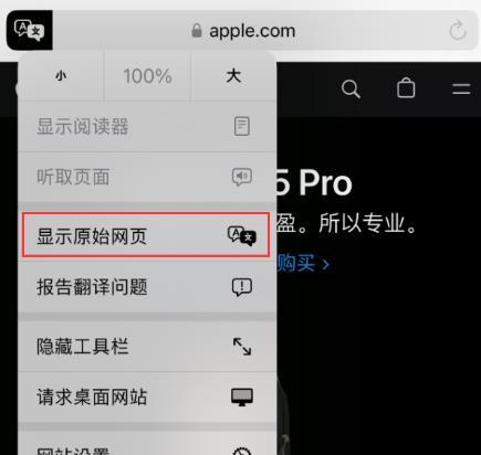 Safari浏览器有翻译功能吗