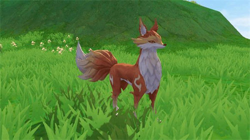 创造与魔法心月狐位置在哪？创造与魔法心月狐位置攻略
