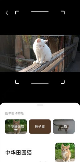 夸克浏览器怎么使用AI相机