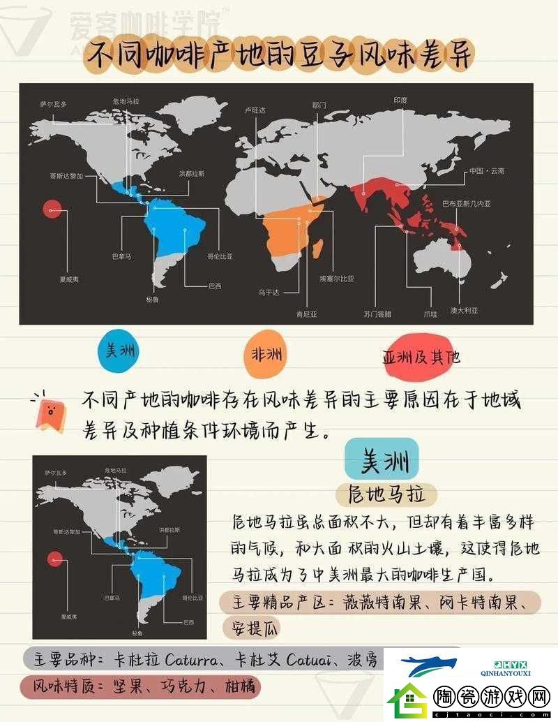 麻豆精产三产区区别：深入分析各产区的特点与差异