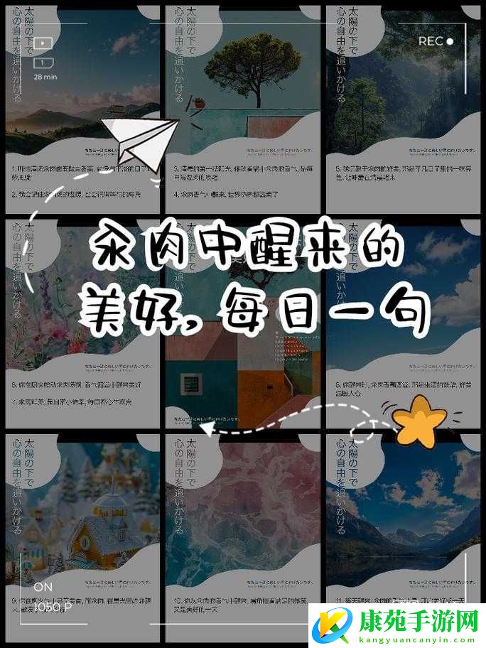 清纯汆肉日常：平凡生活中的别样精彩
