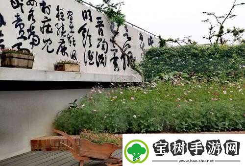 小青楼短视频：记录生活-分享美好
