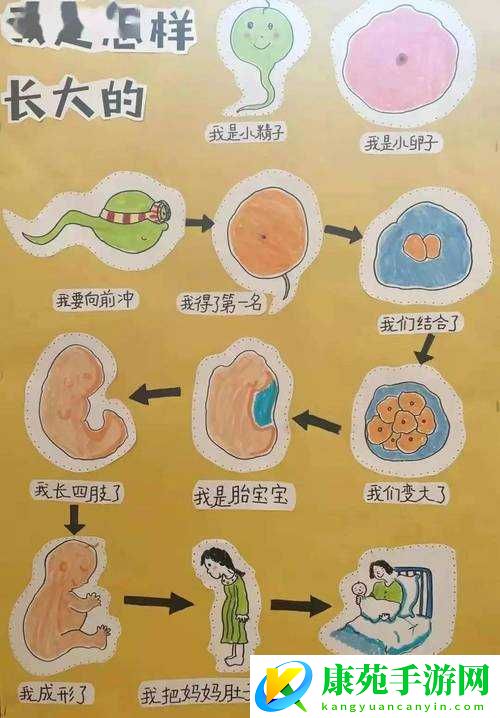 99-爱爱视频：探索爱的奥秘