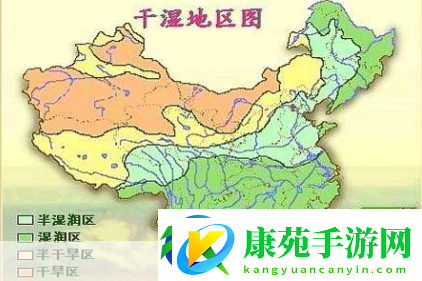 干湿你