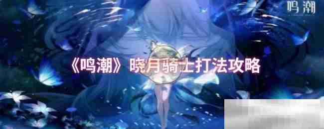 《鸣潮》晓月骑士打法攻略
