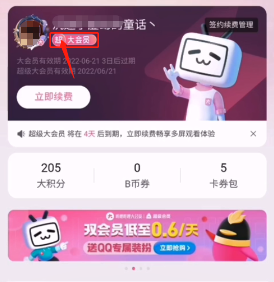 哔哩哔哩超级大会员有哪些作用