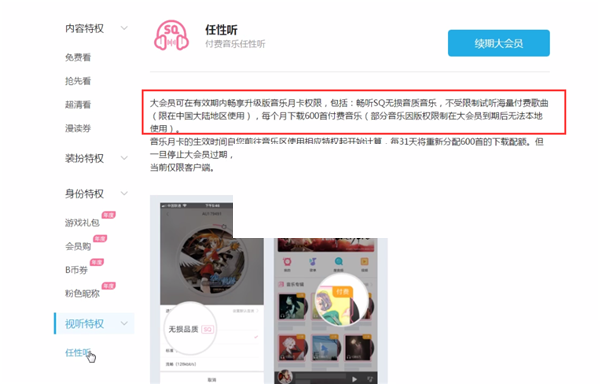 哔哩哔哩超级大会员有哪些作用