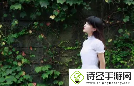 400入成品短视频-用心之作-值得期待