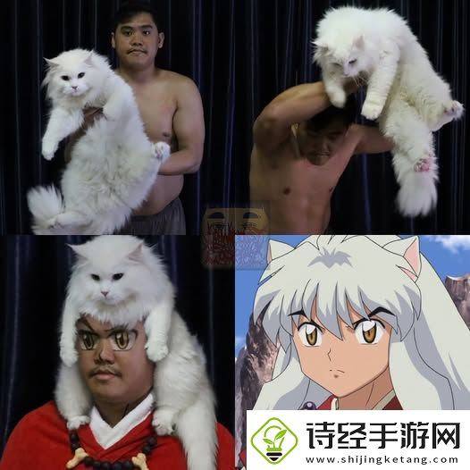他对索尼克下手了！！泰国低成本COS小哥最新作公布