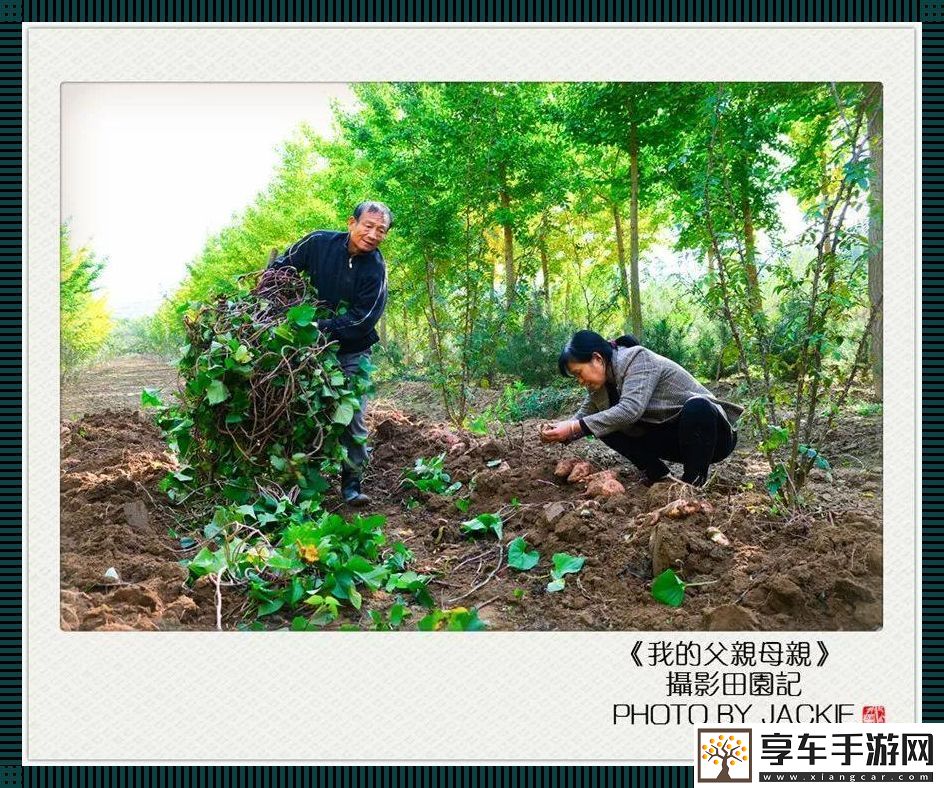 &quot;耕田新时尚：科技版‘子承母业’&quot;